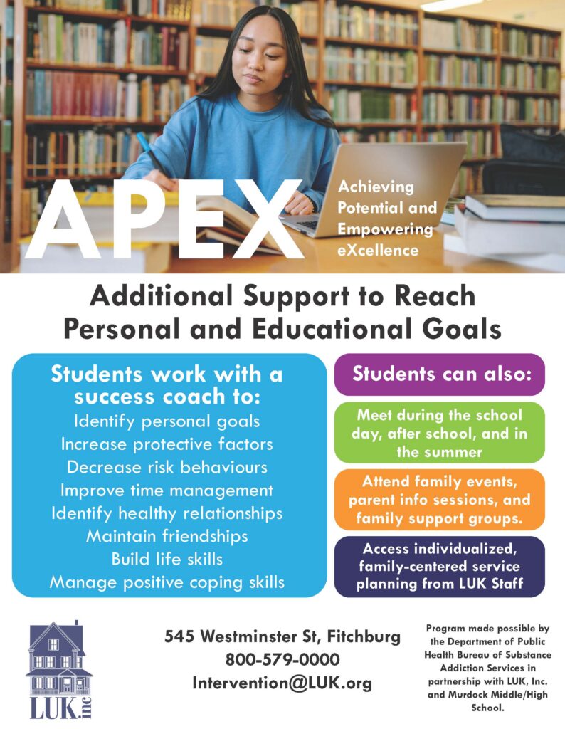 Visual of the downloadable APEX flyer
